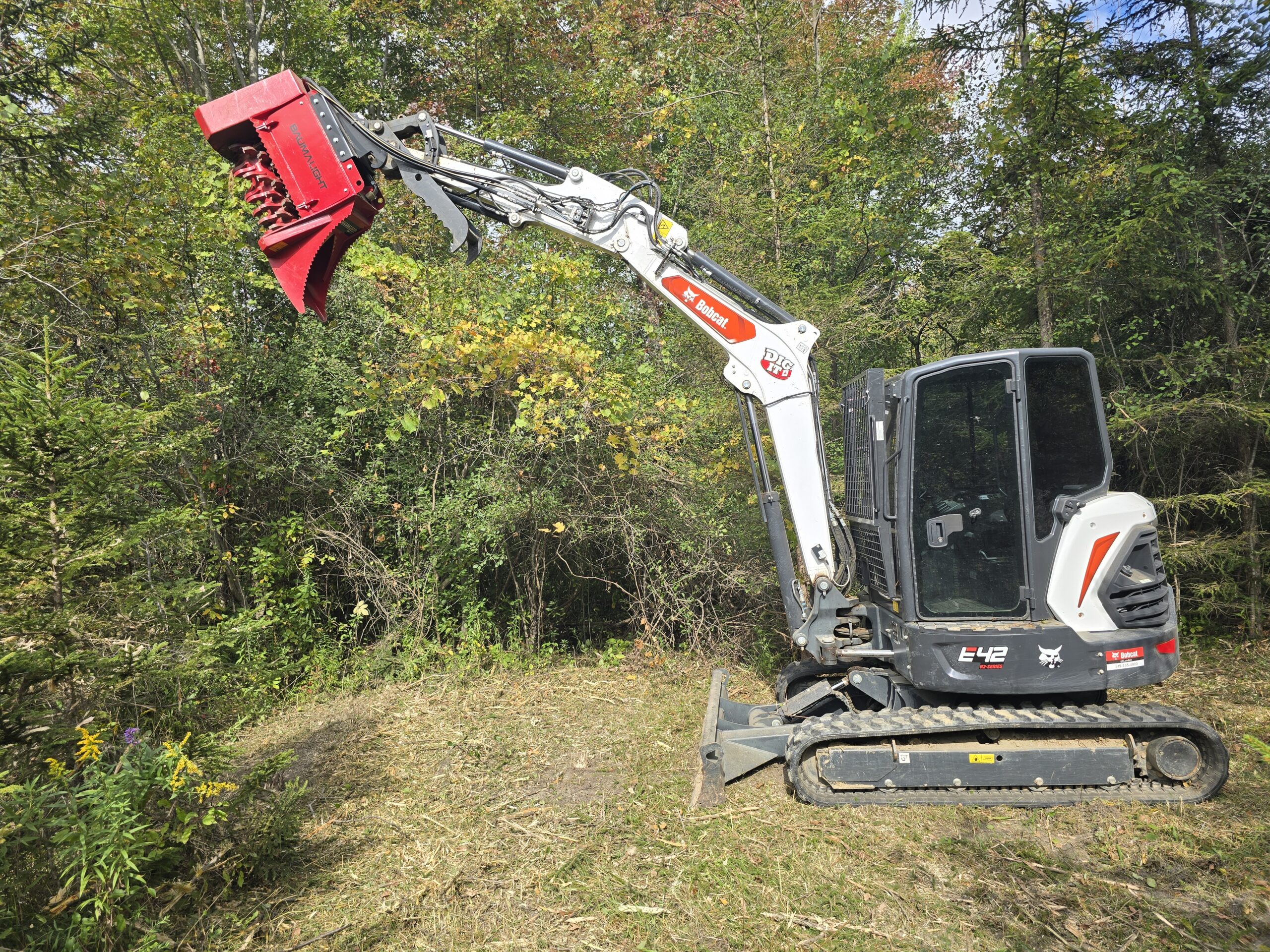 Baumalight mulcher attachment on Bobcat Skidsteer
