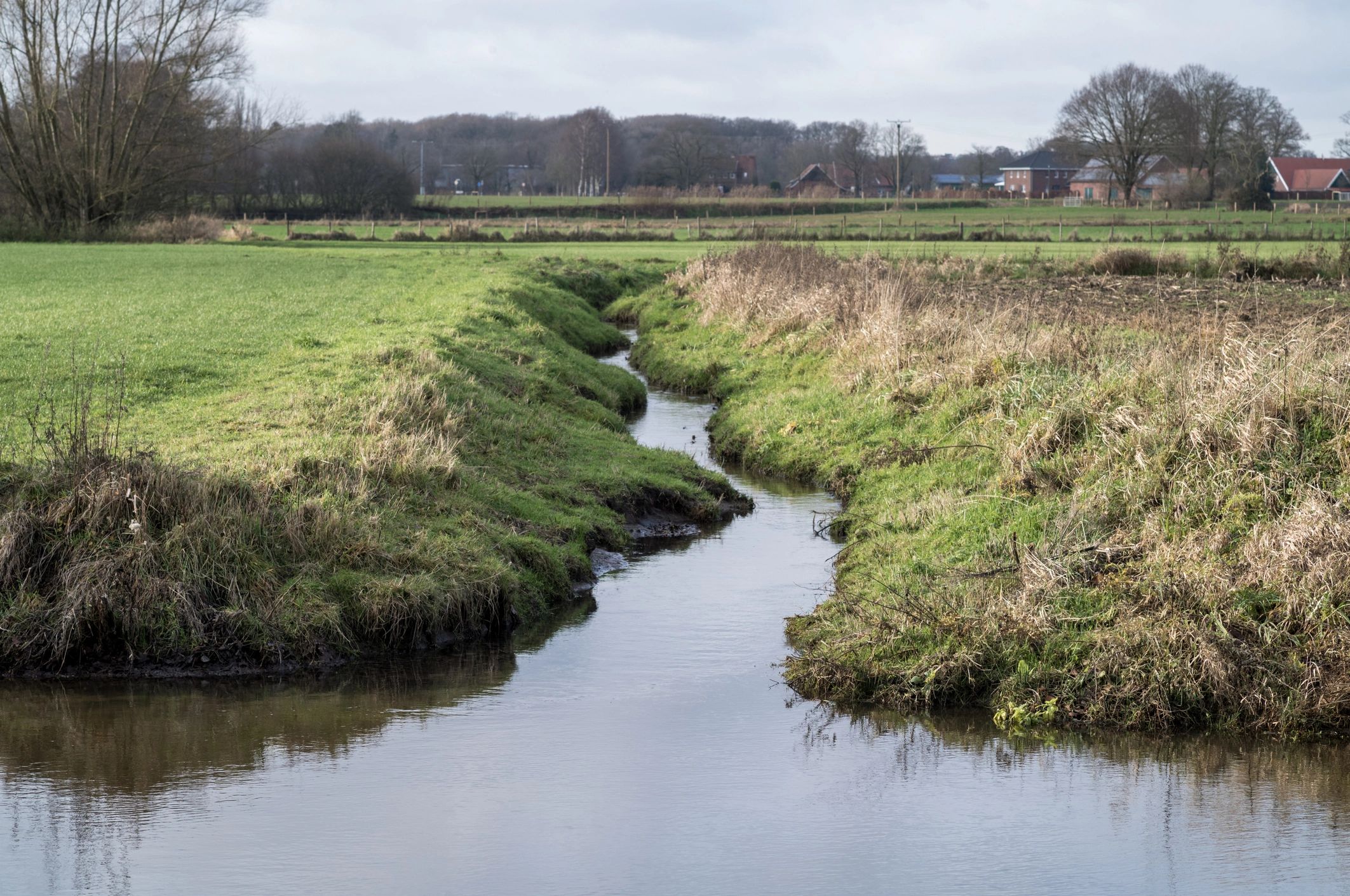 Meandering stream flowing through rural fields